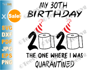 Download 30th Birthday Quarantine SVG files The One Where I Was ...