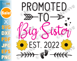 promoted to big sister shirt 2022