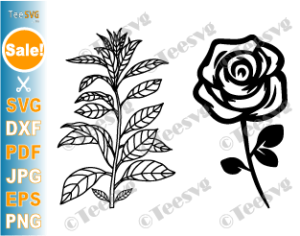 Doodle Flower Stem SVG Bundle, Floral clipart