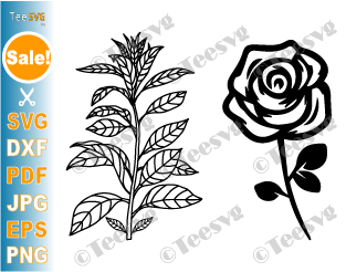 Flower Stem SVG Free | Black and White Flower CLIPART Free PNG Bundle | Simple Rose with Stem Cut Out Transparent | Plant Leaves Floral Cutting Outline Graphic Design Images
