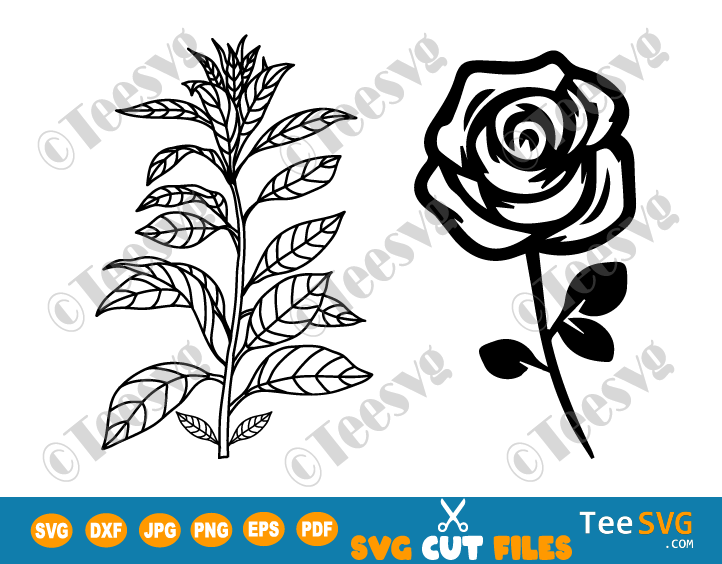 Black and White Flower CLIPART Bundle Free PNG, Flower Stem SVG Free, Simple Rose with Stem Cut Out Transparent, Plant Leaves Floral Cutting  Outline Graphic Design Images, Teesvg