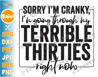 30th Birthday Cricut Ideas, 30th Anniversary Images, 30th Birthday SVG PNG CLIPART | Sorry I'm Cranky I'm Going Through My Terrible Thirties SVG Vector, 30s Thirtieth Sarcastic Quotes Thirty Years Old Graphic Design