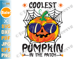 Halloween Pumpkin CLIPART Coolest Pumpkin In The Patch SVG PNG CLIPART Baby Boy Girl Cricut T shirt Design