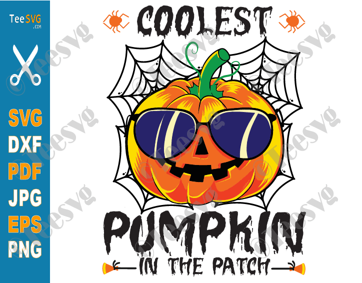 Coolest Pumpkin In The Patch SVG PNG Halloween Thanksgiving Autumn Fall SVG Cut Baby Boy Cricut T shirt .