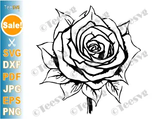 Flower CLIPART Black and White PNG JPG SVG Free Image - Simple Easy Vector Floral Outline Rose Transparent Background Illustration Download