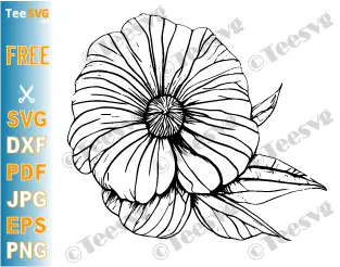 Flower CLIPART Black and White Transparent Free JPG PNG SVG Image - Pretty Beautiful Rose Outline - Simple Easy Floral Vector Background Illustration Download.