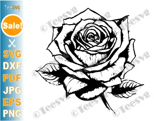 Free Easy Rose CLIPART Black and White JPG PNG SVG Download - Flower Drawing Simple Floral Outline Vector Transparent Background Illustration Image