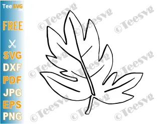 Leaf CLIPART Black and White Outline PNG JPG SVG Free Printable - Easy Hand Drawn Transparent Background Image Download.