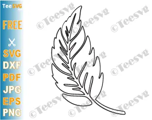 Leaf CLIPART Outline PNG JPG SVG Free - Simple Black and White Drawing with Transparent Background Download