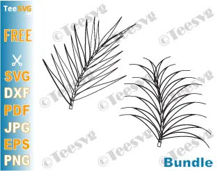 Palm Leaf CLIPART Black and White PNG JPG SVG Free Vector Drawing Bundle - Simple Printable with Transparent Background Download.