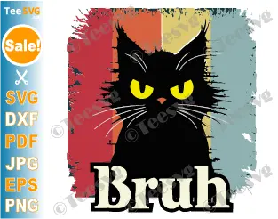 Cat Bruh SVG PNG Cat Meme Graphic Funny Teens Boys Sarcastic Cricut Shirt Design.